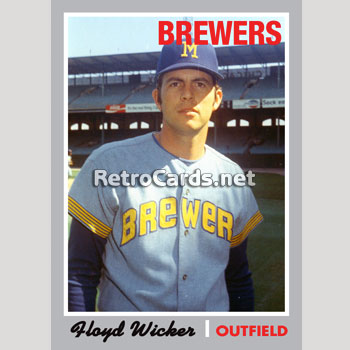 1970T Don Mincher Milwaukee Brewers – RetroCards