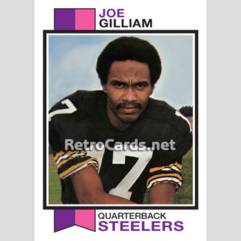 1974T Pittsburgh Steelers RetroCards Set