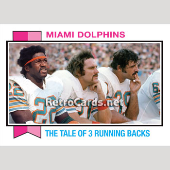 1973 Miami Dolphins - Week 1 - MIAMI vs SAN FRANCISCO Radio Edit 