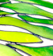 green stained glass leaves