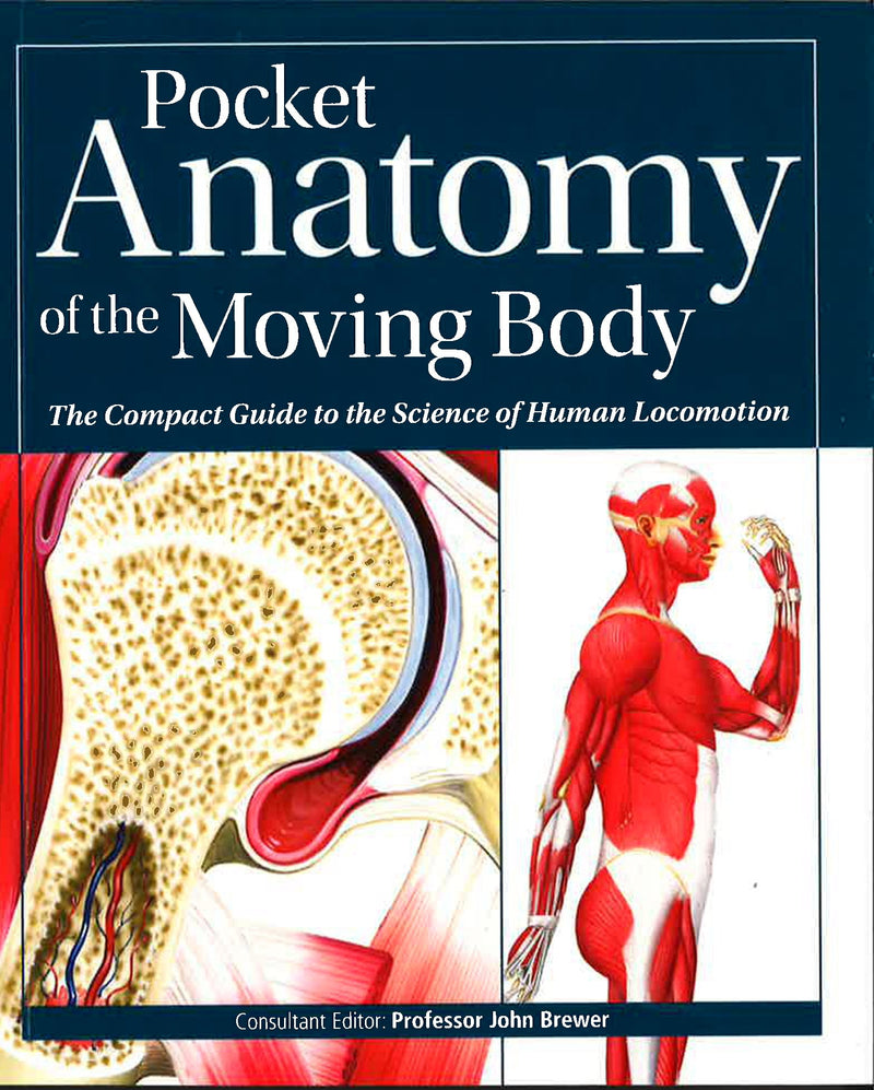 move up and down in essential anatomy 3