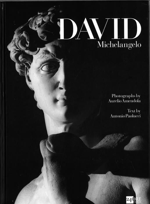 Michelangelo S David Big Bad Wolf Books Sdn Bhd Philippines