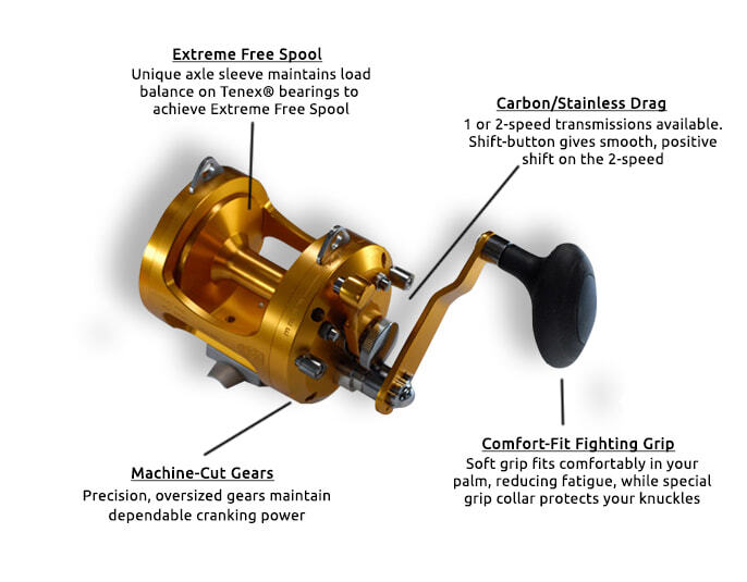 Qualia Advanz Q22 1 Single Speed Reel Paradise Tackle Co