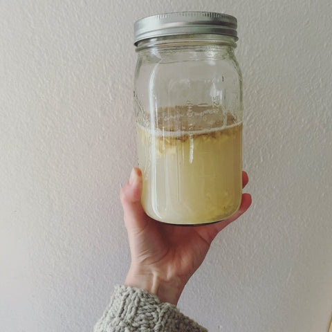 ginger bug in a jar