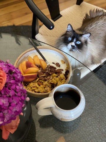 granola in a forage bowl