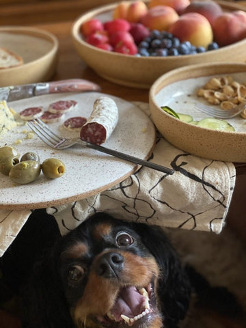 charcuterie and a cute pup!