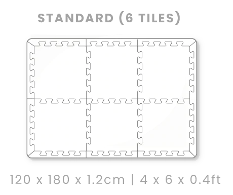 standard 6 piece Puzzle