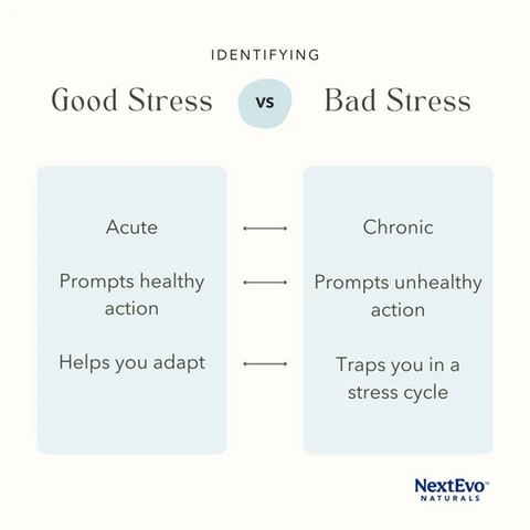 Good Stress vs Bad Stress