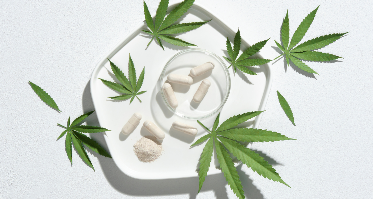 Hemp leaves and cbd capsules