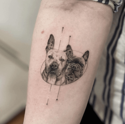 pet tatoo engraving