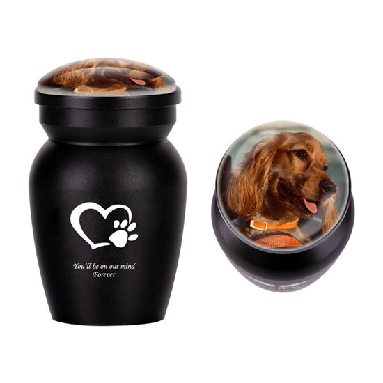 Personalized Photo Cremation Small Keepsake Urn for Pet or Human Ashes Customized Text Engraving Container Memorial Funeral Decorative