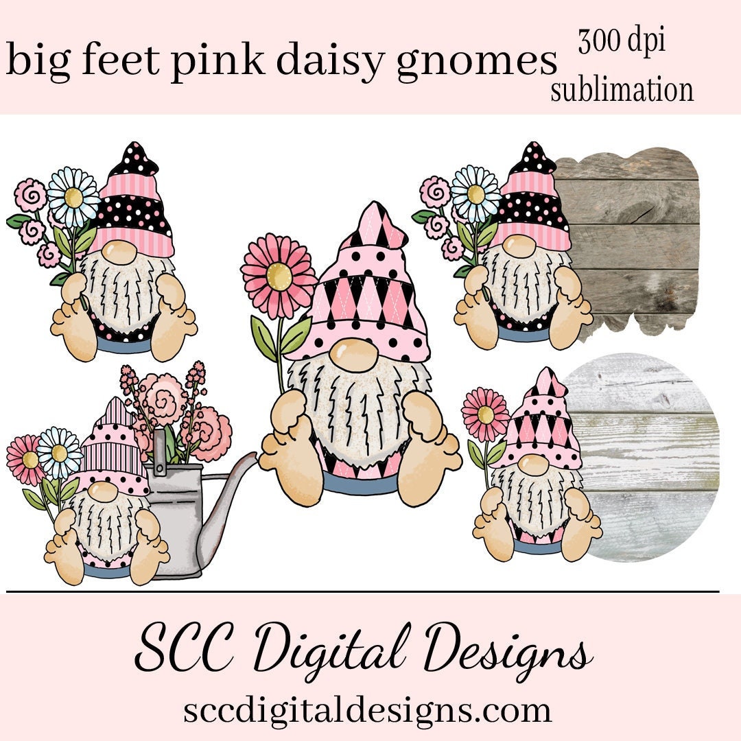 daisy clipart pink white