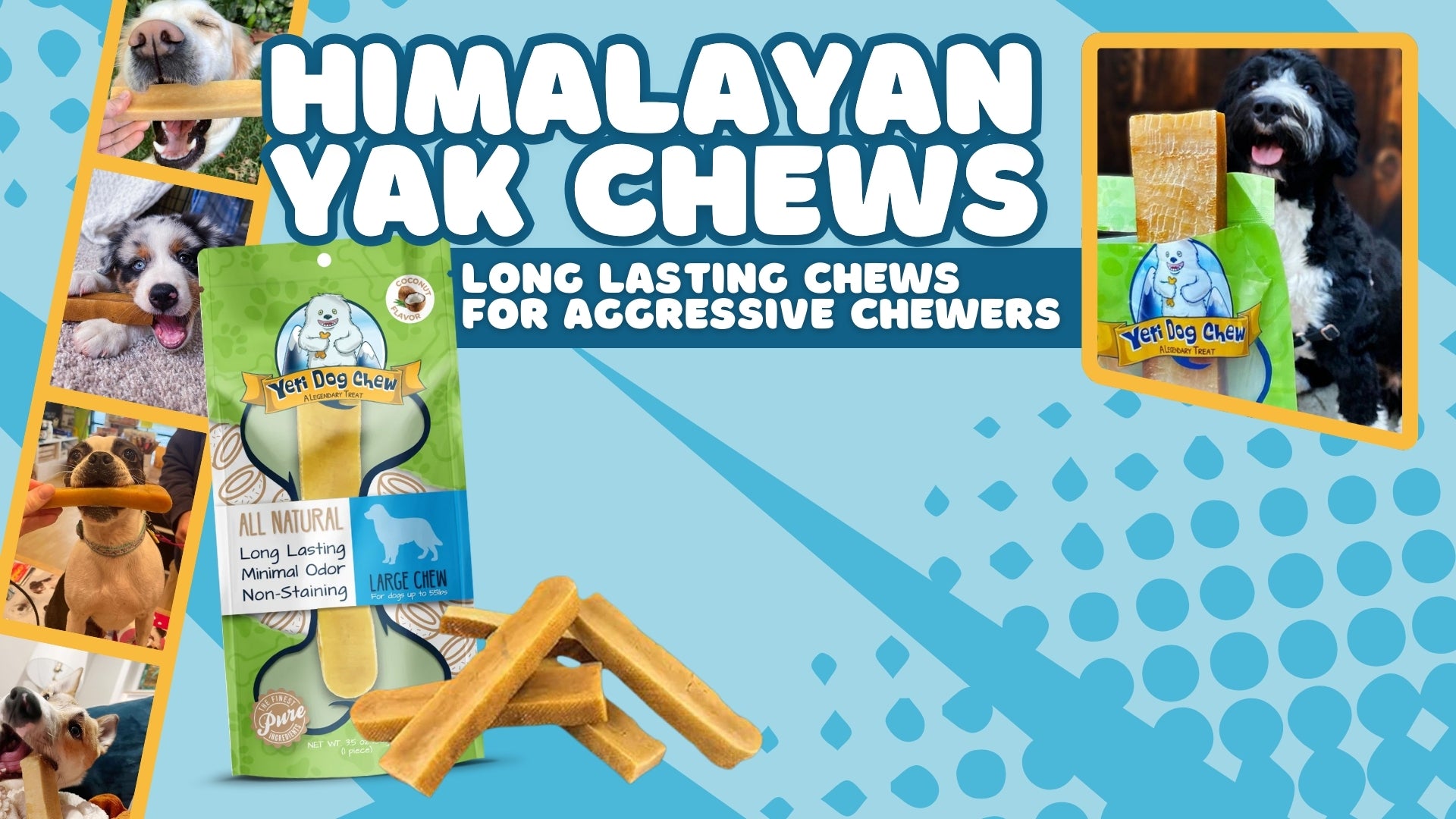 Himalayan Yak Chews for dogs, featuring multiple dogs enjoying the chews.