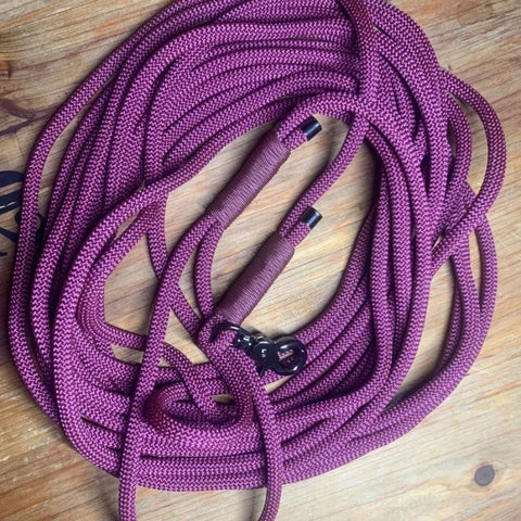 Longe pour Chien Violet