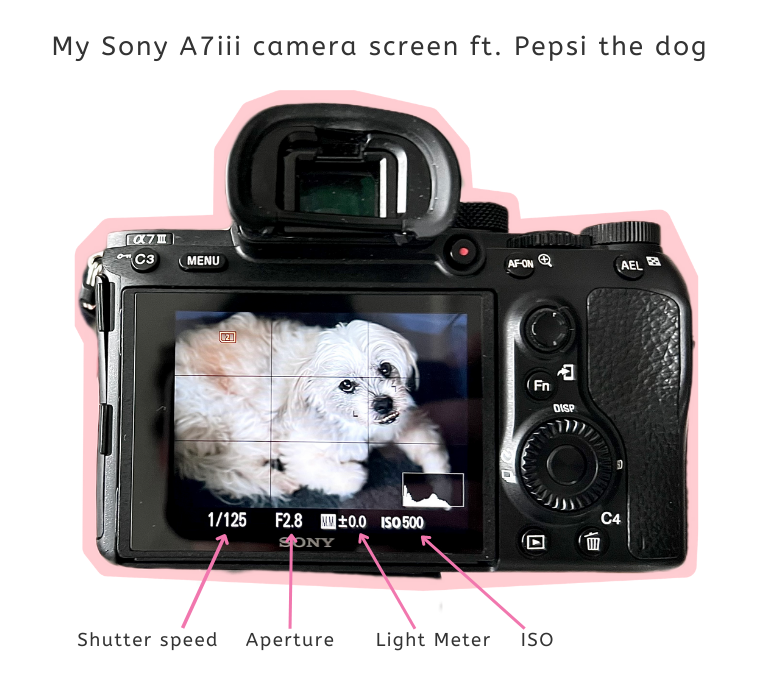 camera settings - beginners guide to manual photography