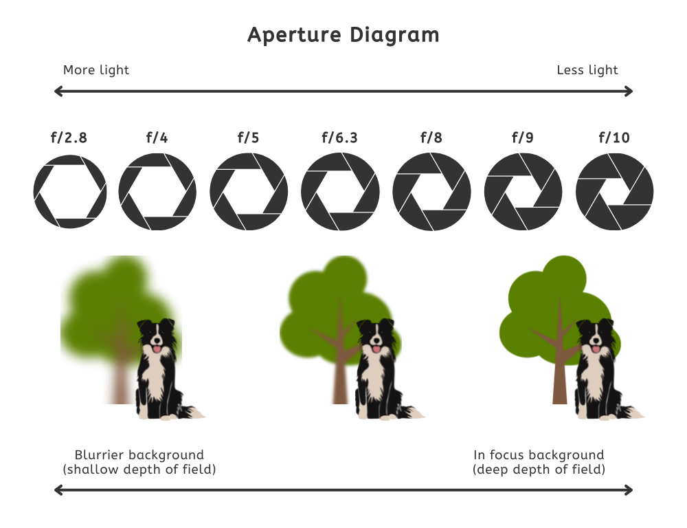 Aperture diagram - beginners guide to manual photography