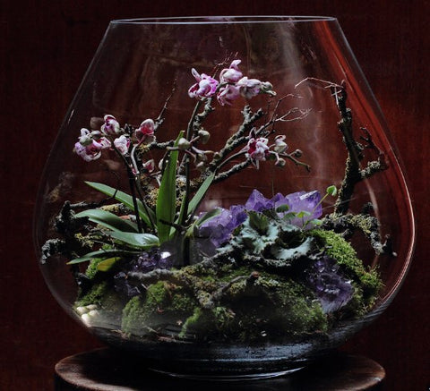 Open terrarium with amethyst crystal 