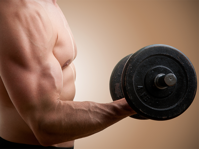 Build bigger biceps by knowing your food macros