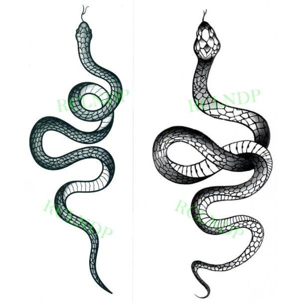 100 Cool Snake Tattoos And Meaning Latest Gallery  The Trend Scout