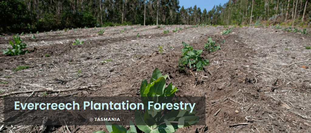 Capturing and Storing Greenhouse Gases in Tasmania