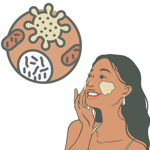 Vector illustrator showing different types of probiotics live on face skin, which is vital for woman skin microbiome and overall health 