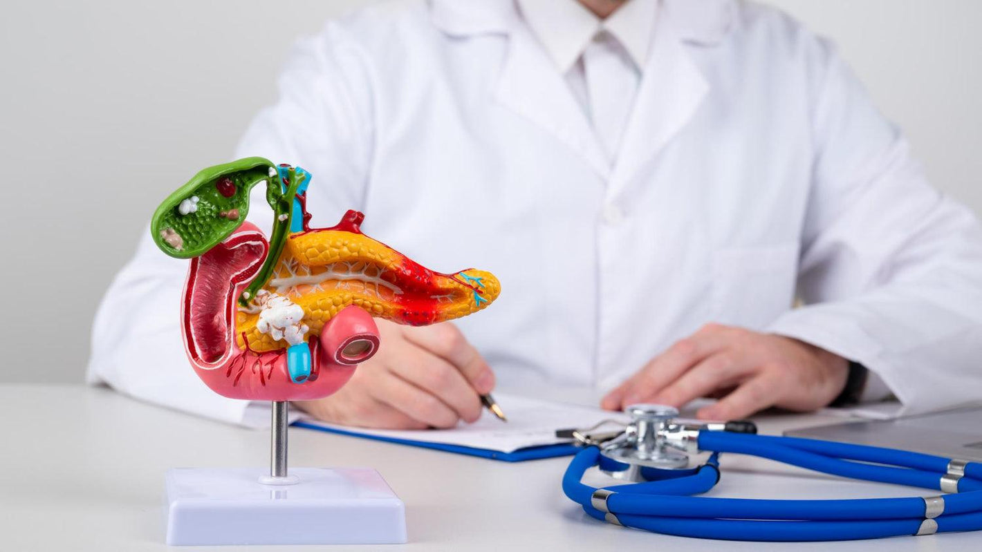 When to worry about pancreatitis? | Welzo