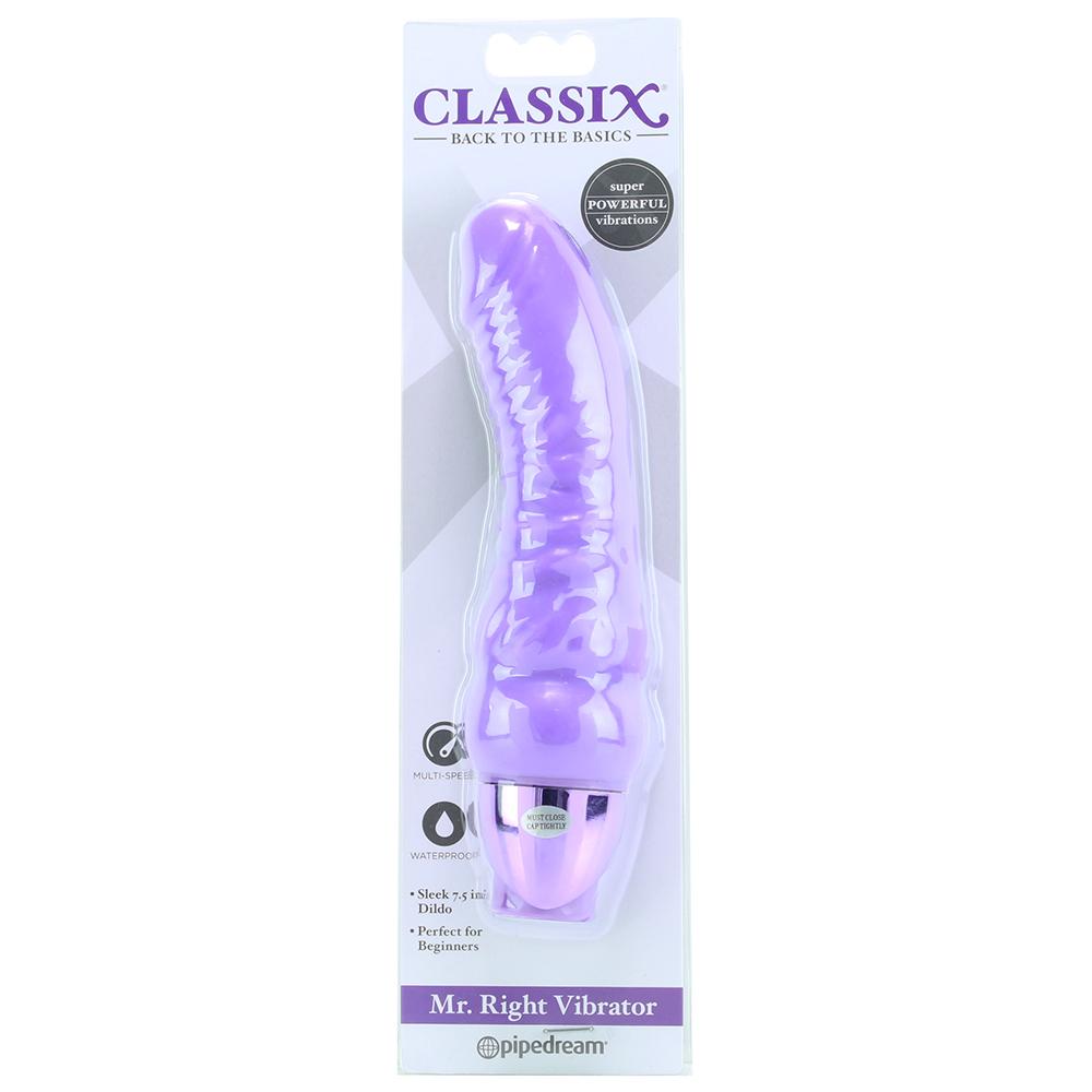 Classix Mr. Right Vibe in Purple - Sex Toys Vancouver Same Day Delivery
