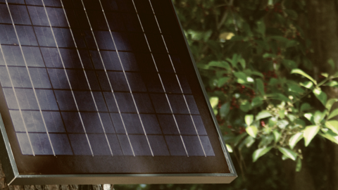 Solar panel mounted on a tree  with right side of panel with shade and the right side lighten up.