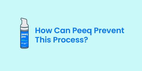 Introducing Peeq: A Safe and Effective Solution for Managing Biofilms