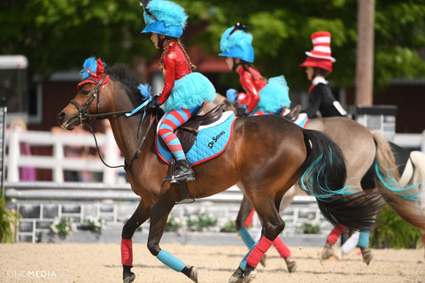 Devon pony hunt teams. Pinsnickety is a sponsor.