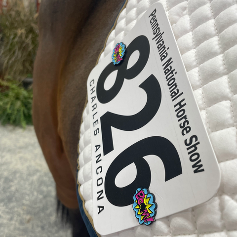 pinsnickety boom! horse show number pins on a saddle pad at the pennsylvania national horse show