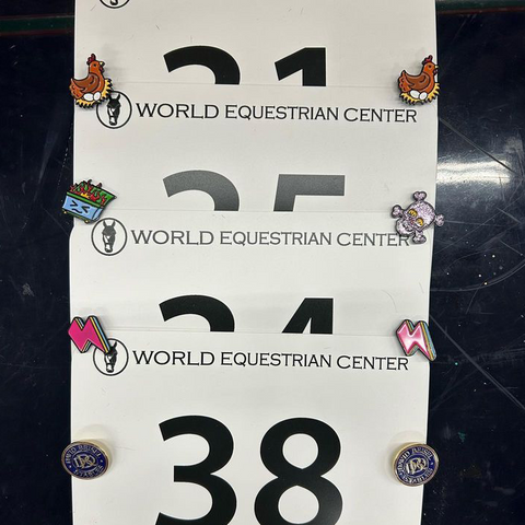 four horse show number pins arranged on a tack trunk, each with a different pair of pinsnickety horse show number pins