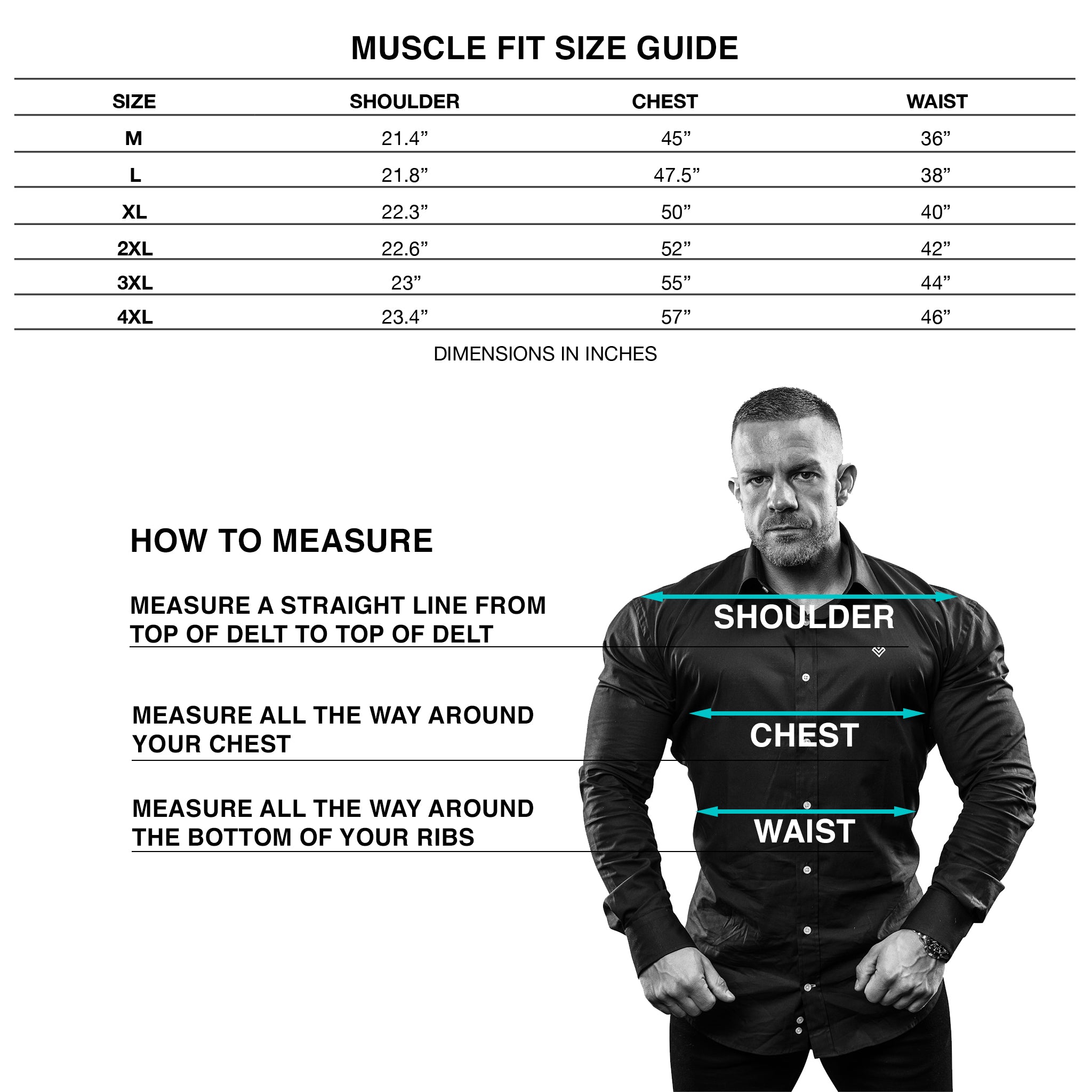 Size Guide, Muscle Fit, Muscle Fit Shirt, Muscle Size Guide