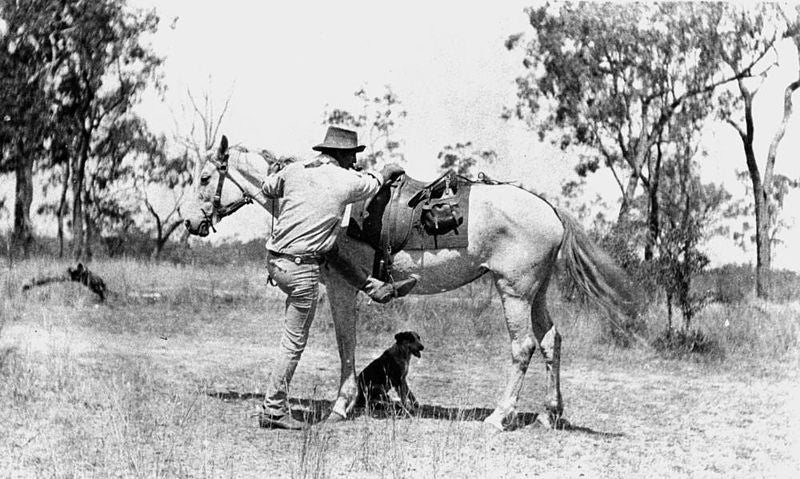 History of the Australian Stockman