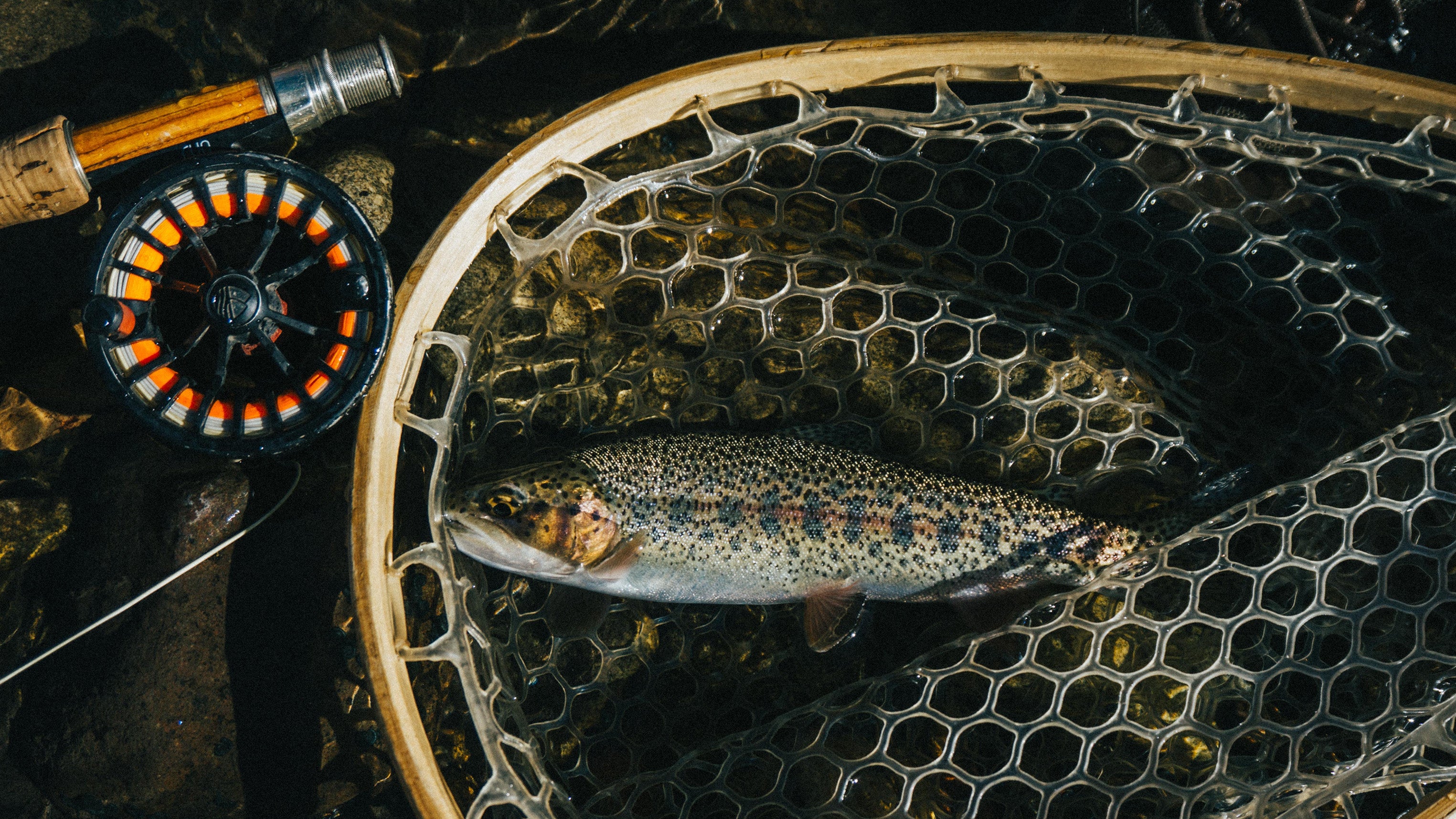 A beginner's guide to fly fishing