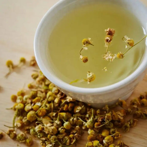 Chamomile Tea – made with dried Chamomile flowers helps with sleep and relaxation - Darjeeling Connection
