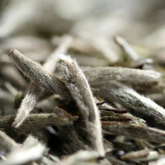 Silver Needles Tea - Darjeeling Connection