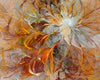 Led Bild Abstrakter Bluetenzauber In Orange Panorama Crop