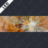 Led Bild Abstrakter Bluetenzauber In Orange Panorama Motivvorschau