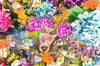 Led Bild Aeffchen Blumen Panorama Crop