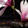 Led Bild Magnolien Zen Steine Hochformat Zoom