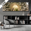 Led Bild Pusteblume No 11 Panorama Produktvorschau