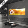 Led Bild Pusteblume No 8 Panorama Produktvorschau