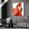 Led Bild Rosa Flamingo Quadrat Produktvorschau