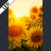 Led Bild Sonnenblumen Im Abendlicht Hochformat Motivvorschau