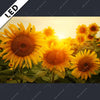 Led Bild Sonnenblumen Im Abendlicht Querformat Motivvorschau