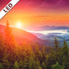 Led Bild Wald Bei Sonnenuntergang Hochformat Zoom