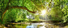 Led Bild Wald Mit Bach Bei Sonnenschein Panorama Crop