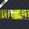 Led Bild Wald Mit Sonnenstrahlen Panorama Motivvorschau