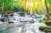 Led Bild Wald Wasserfall No 1 Querformat Crop